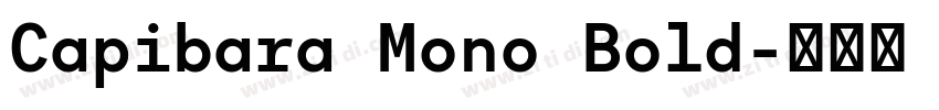 Capibara Mono Bold字体转换
